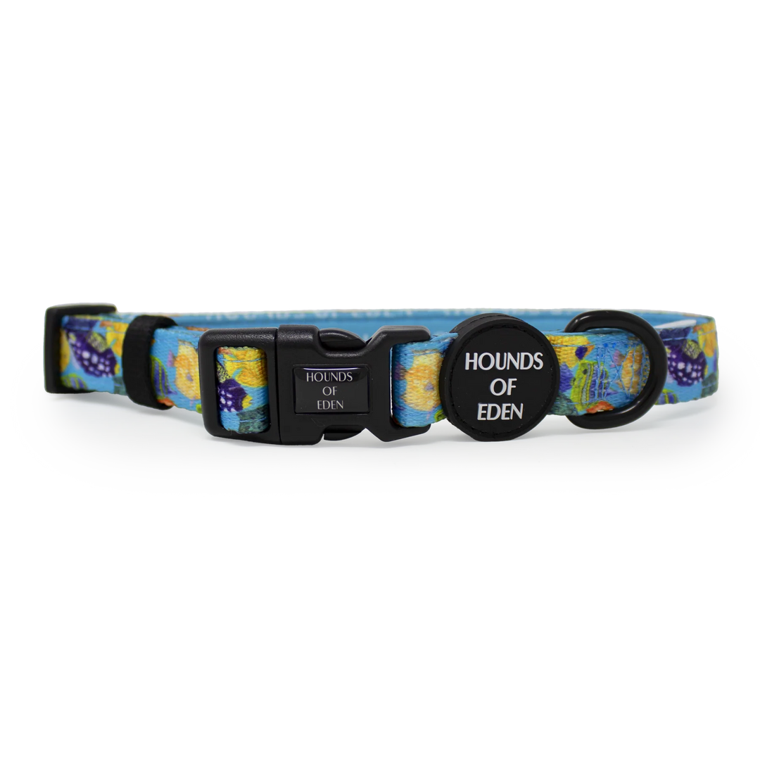 Dog Collar | Under The Sea