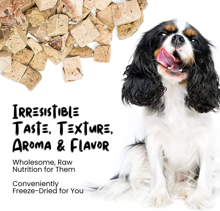 Freeze Dried Beef Hearts Treats for Cats & Dogs