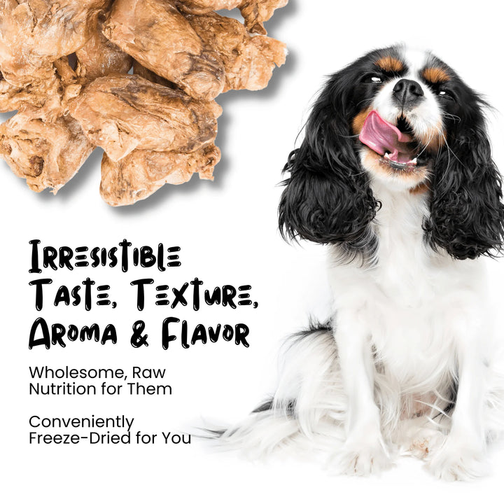 Freeze Dried Duck Heart Treats for Cats & Dogs