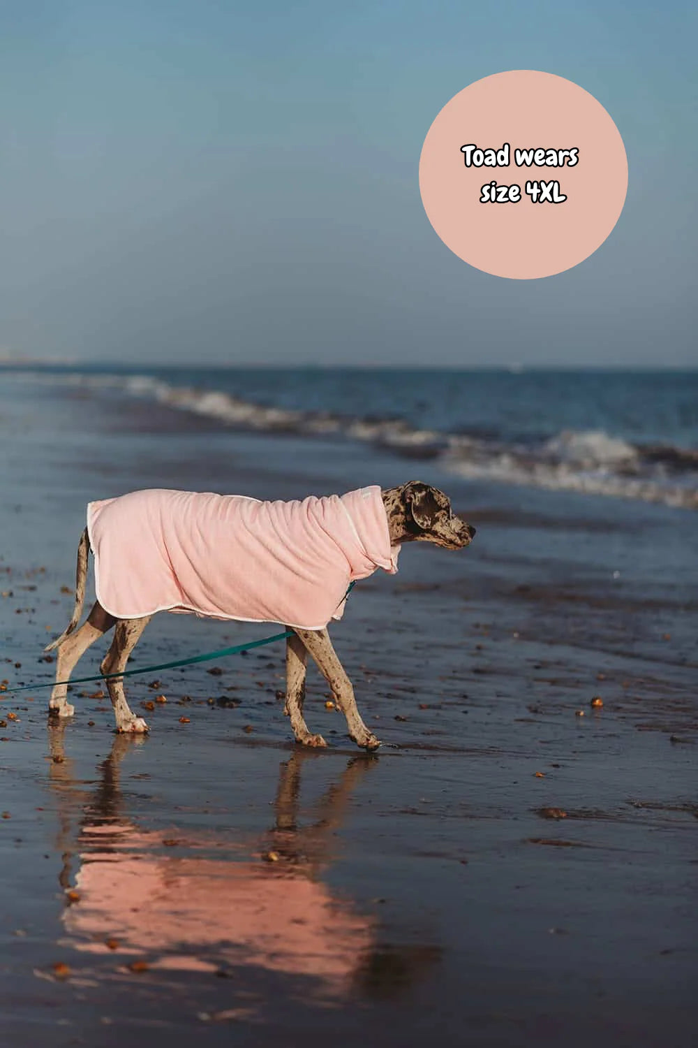 Dog Drying Coat | Bubble Gum Pink