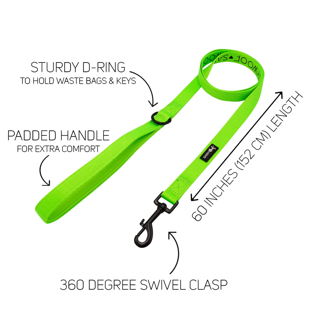 Dog Leash | Neon Green