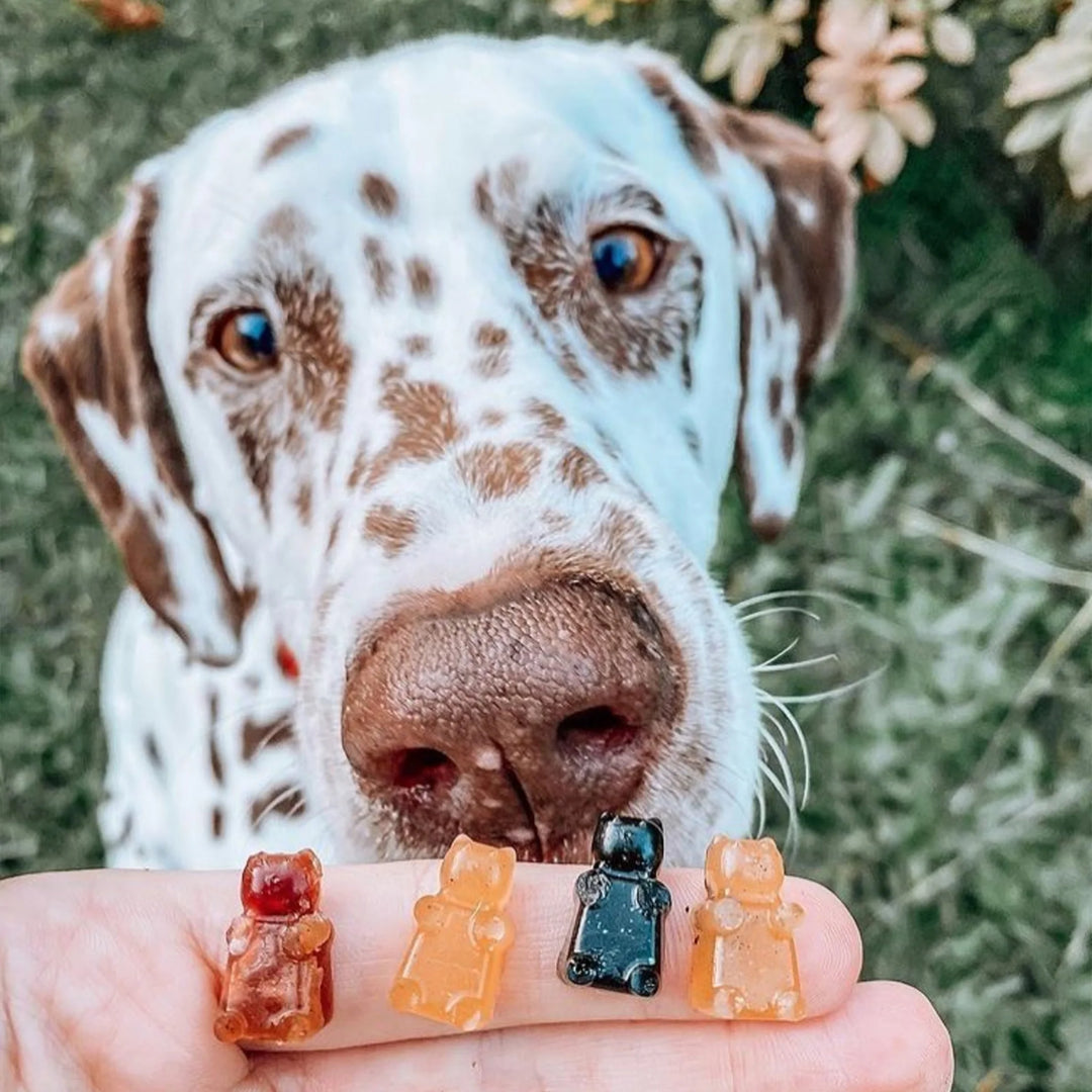 DIY Gummi Bear Mix for Dogs