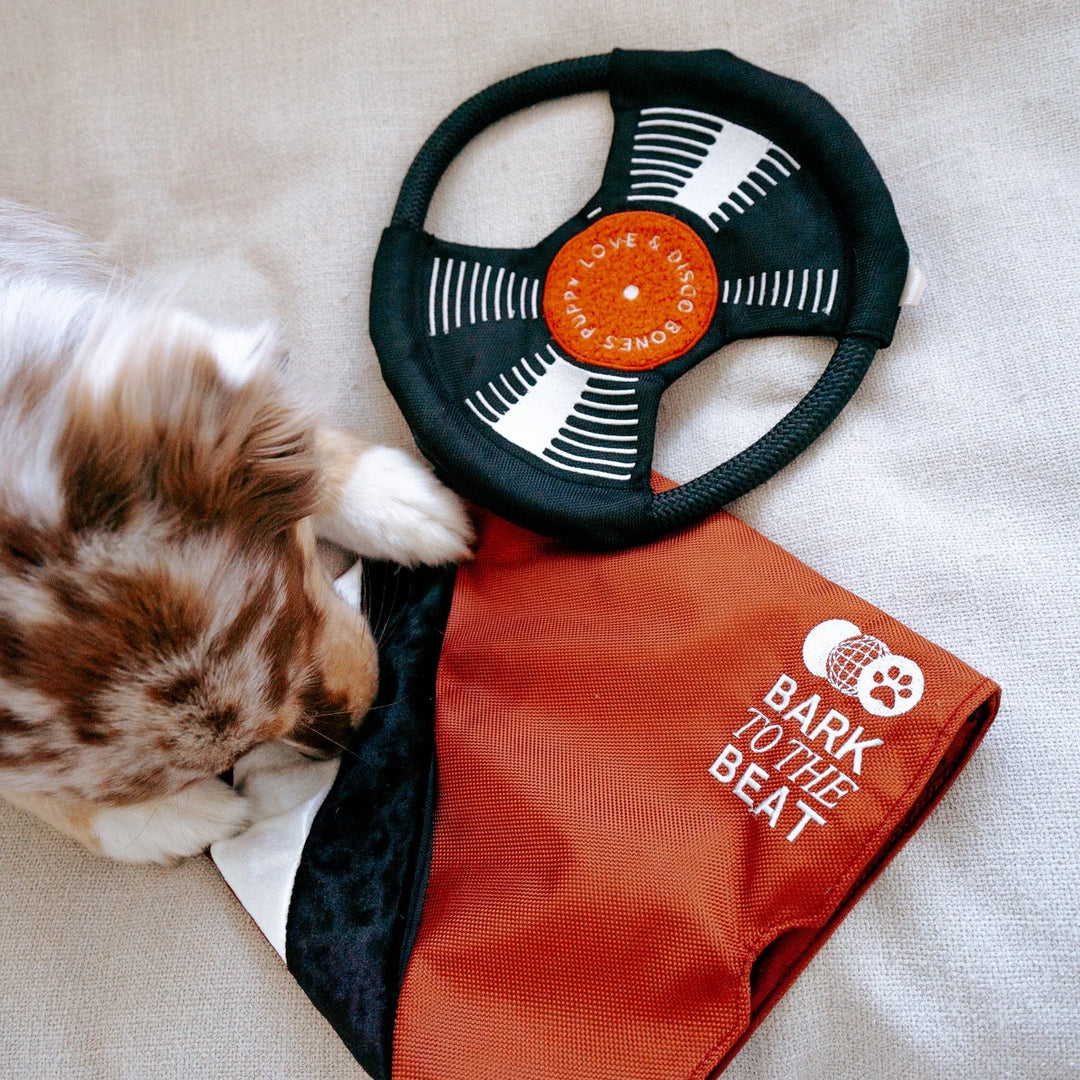 Bark to Beat