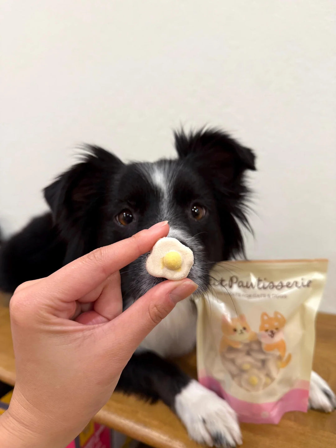Freeze Dried Egg Pet Treats
