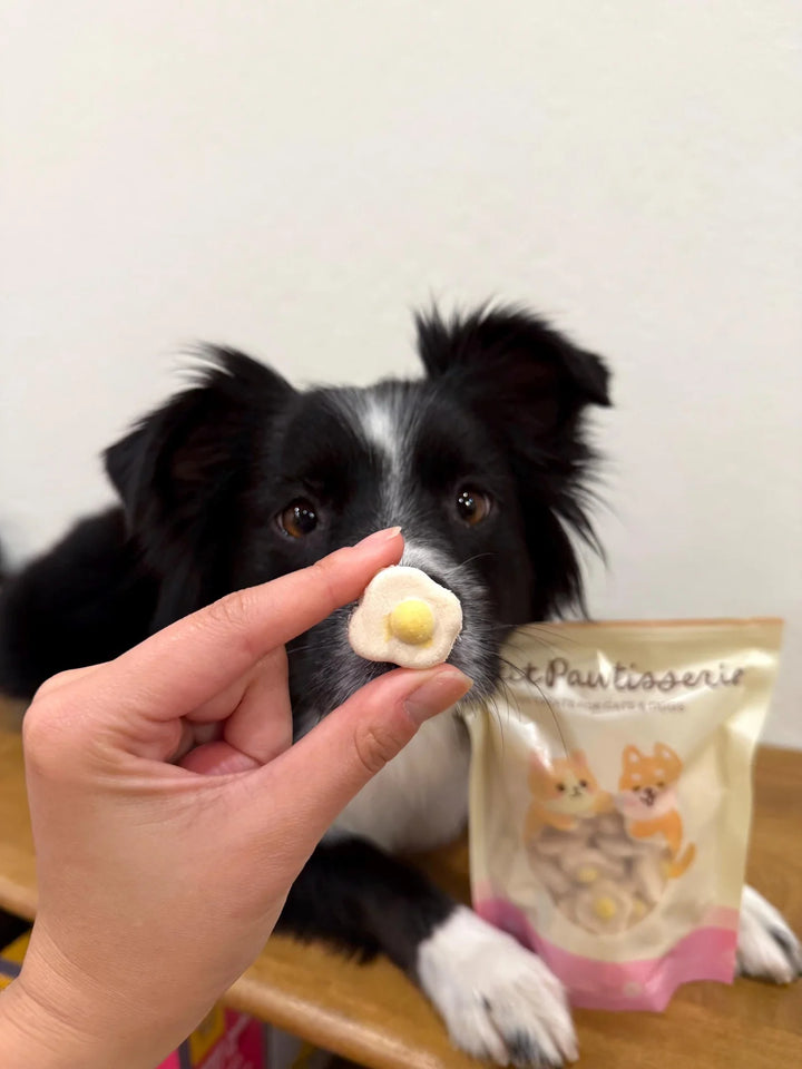 Freeze Dried Egg Pet Treats