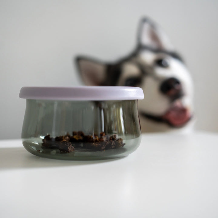 Tinted Glass Treat Jar