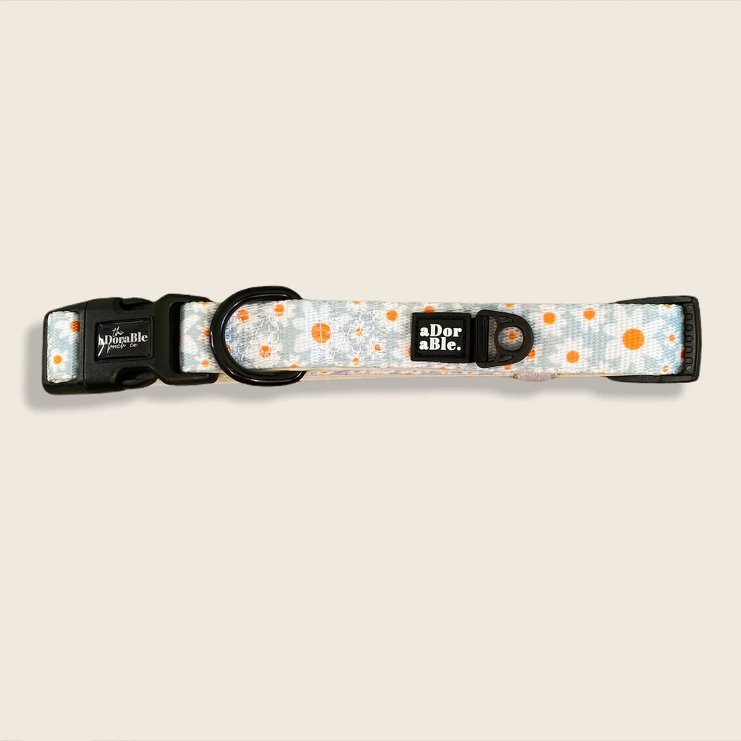 Dog Collar | Oopsy Daisy