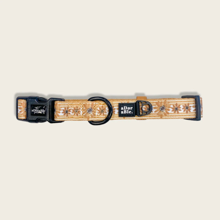 Dog Collar | Fields Of Gold