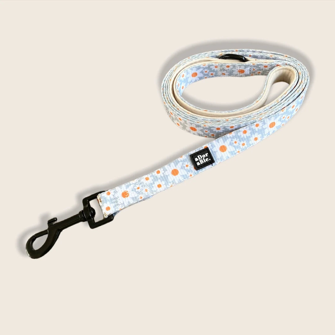 Dog Leash | Oopsy Daisy