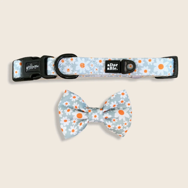 Dog Collar | Oopsy Daisy