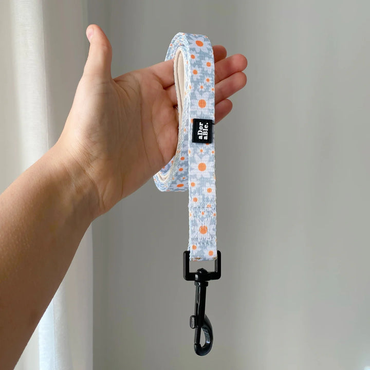 Dog Leash | Oopsy Daisy