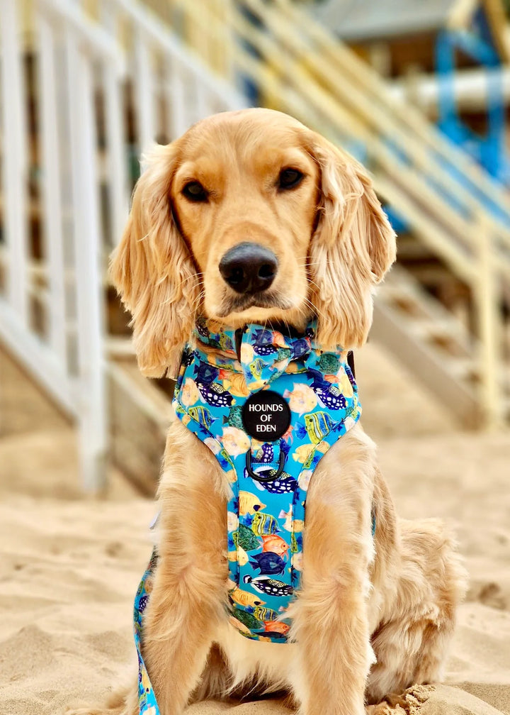 Adjustable Dog Harness | Under The Sea