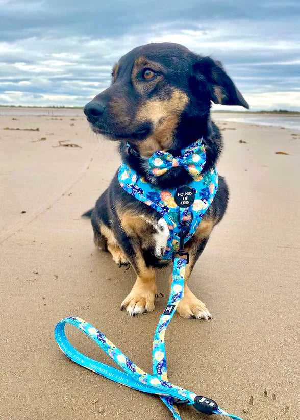 Adjustable Dog Harness | Under The Sea