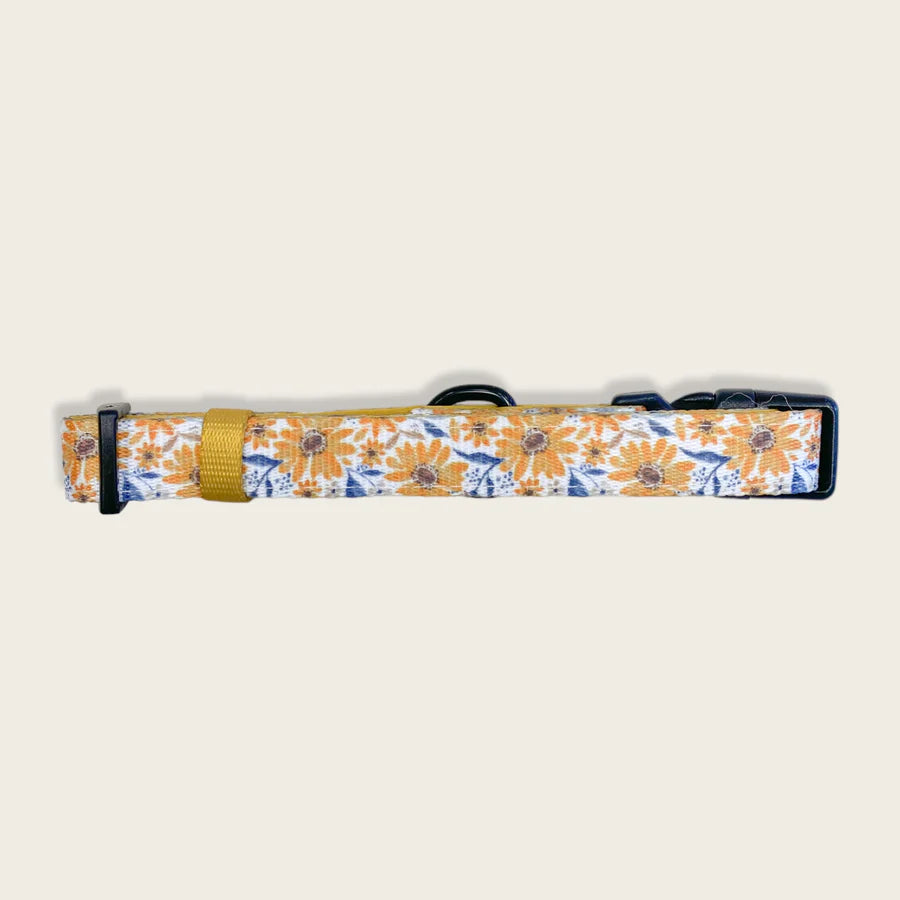 Dog Collar | Sunflower Meadow