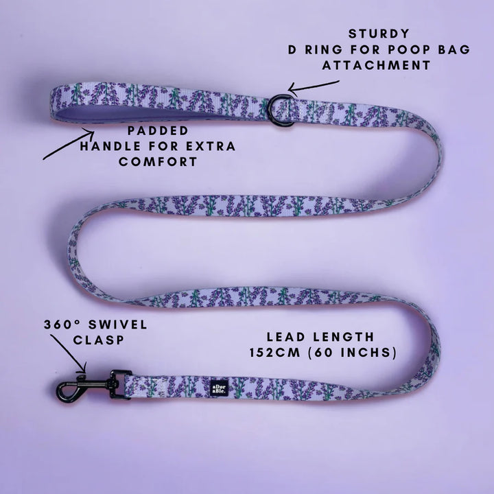 Dog Leash | Lavender Haze