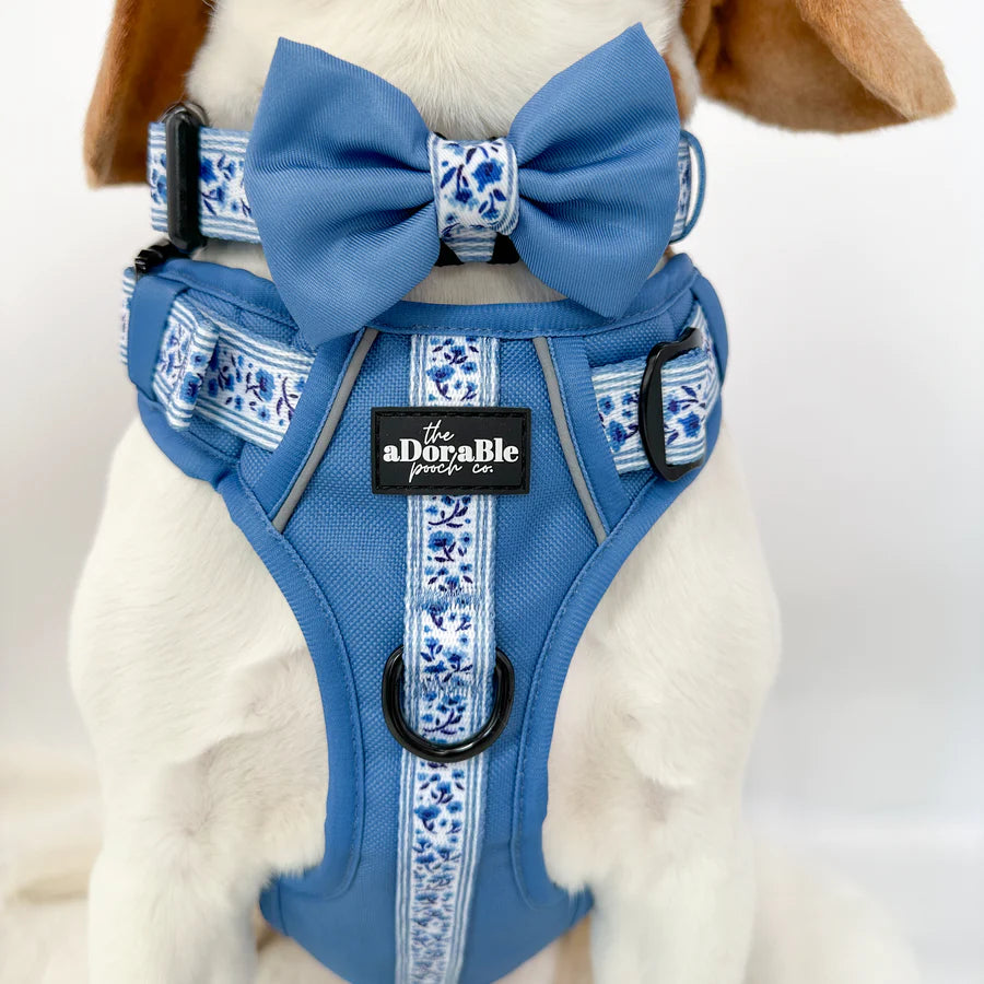 Hike & Go™ Harness | Cornflower Bloom