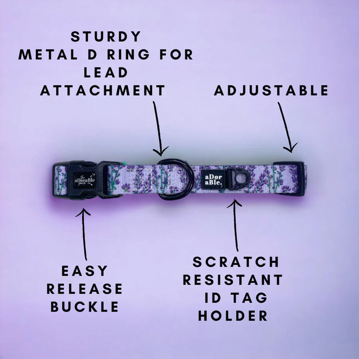 Dog Collar | Lavender Haze