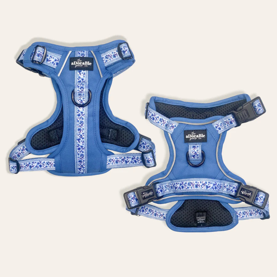 Hike & Go™ Harness | Cornflower Bloom