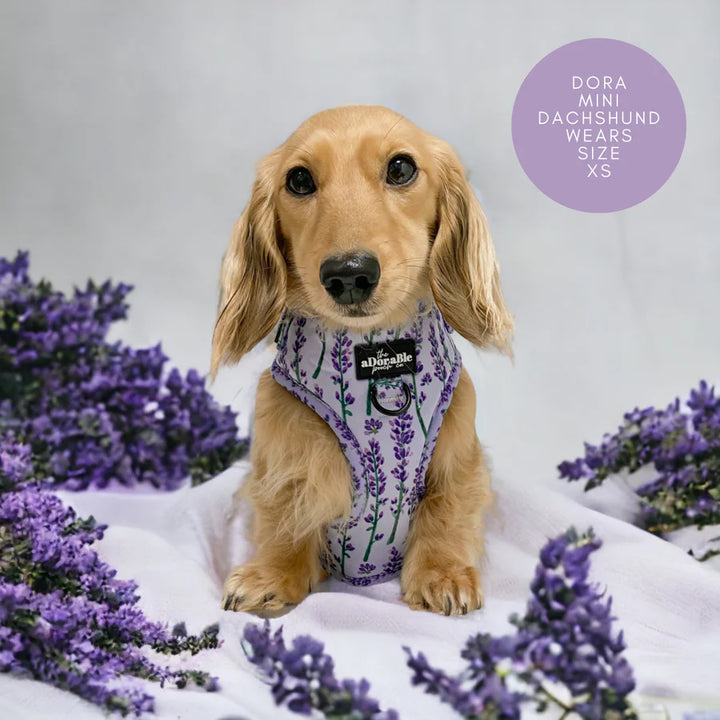 Adjustable Dog Harness | Lavender Haze