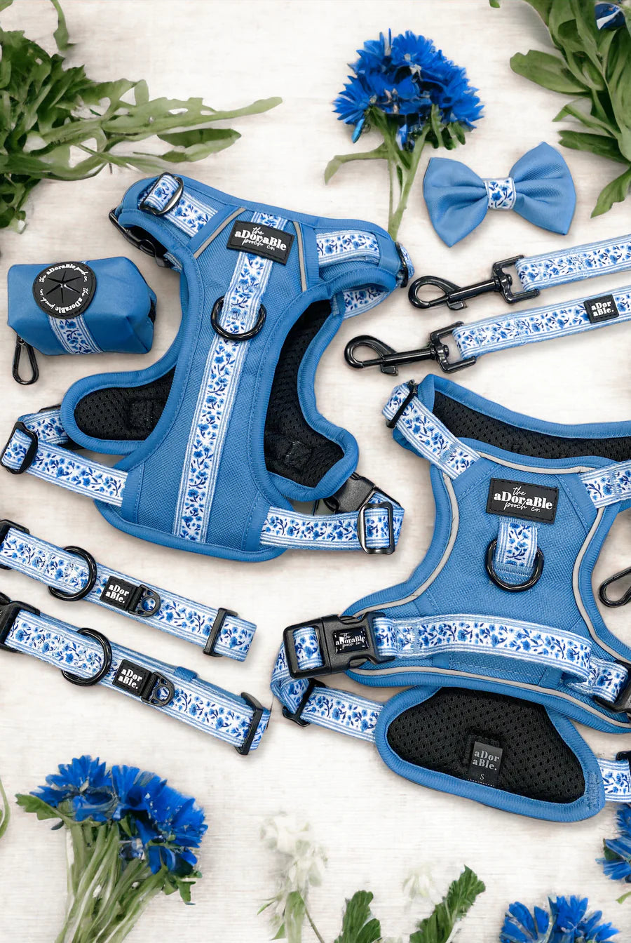 Hike & Go™ Harness | Cornflower Bloom