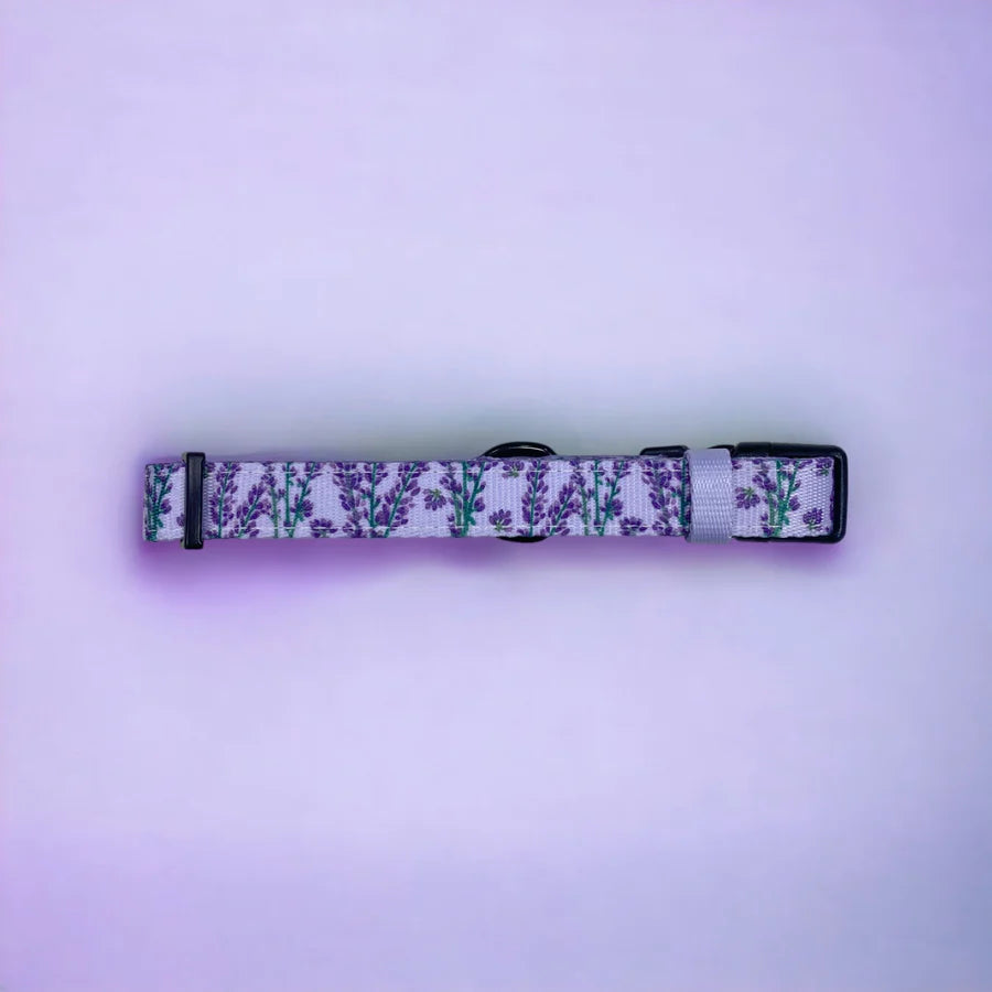 Dog Collar | Lavender Haze