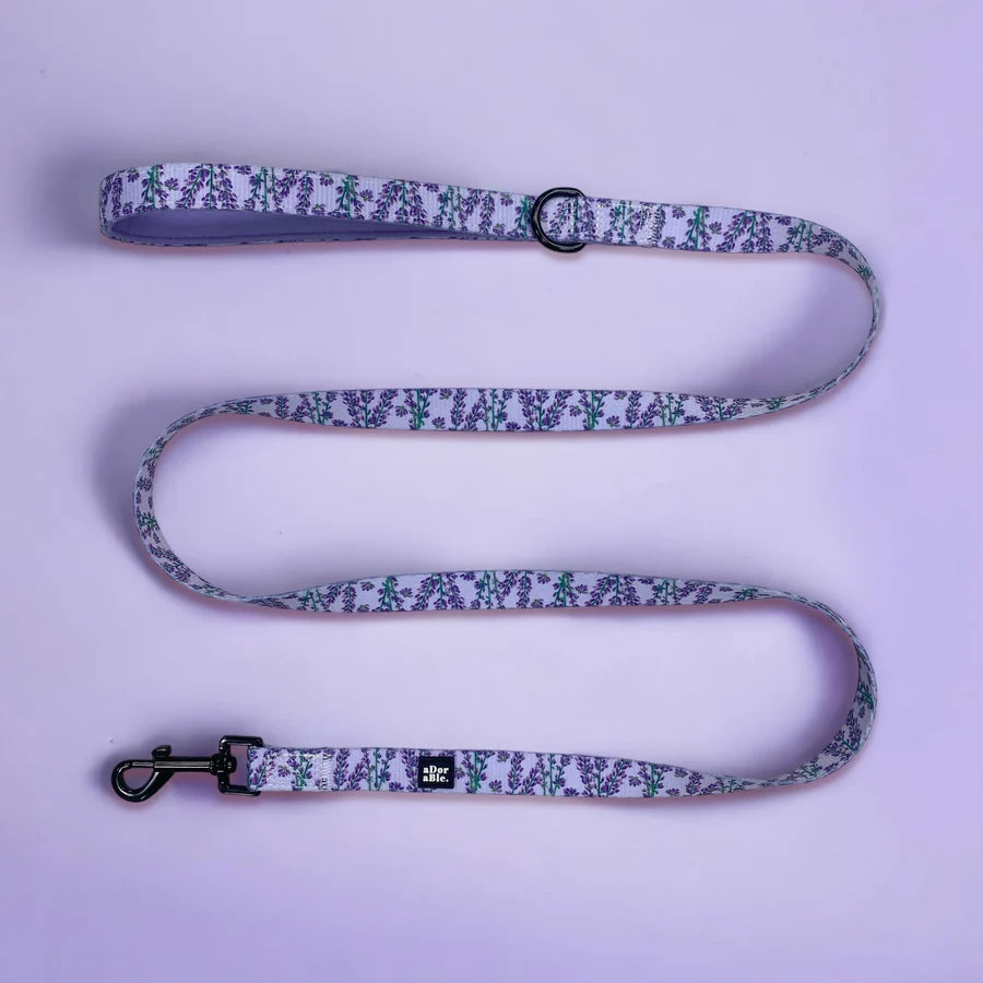 Dog Leash | Lavender Haze