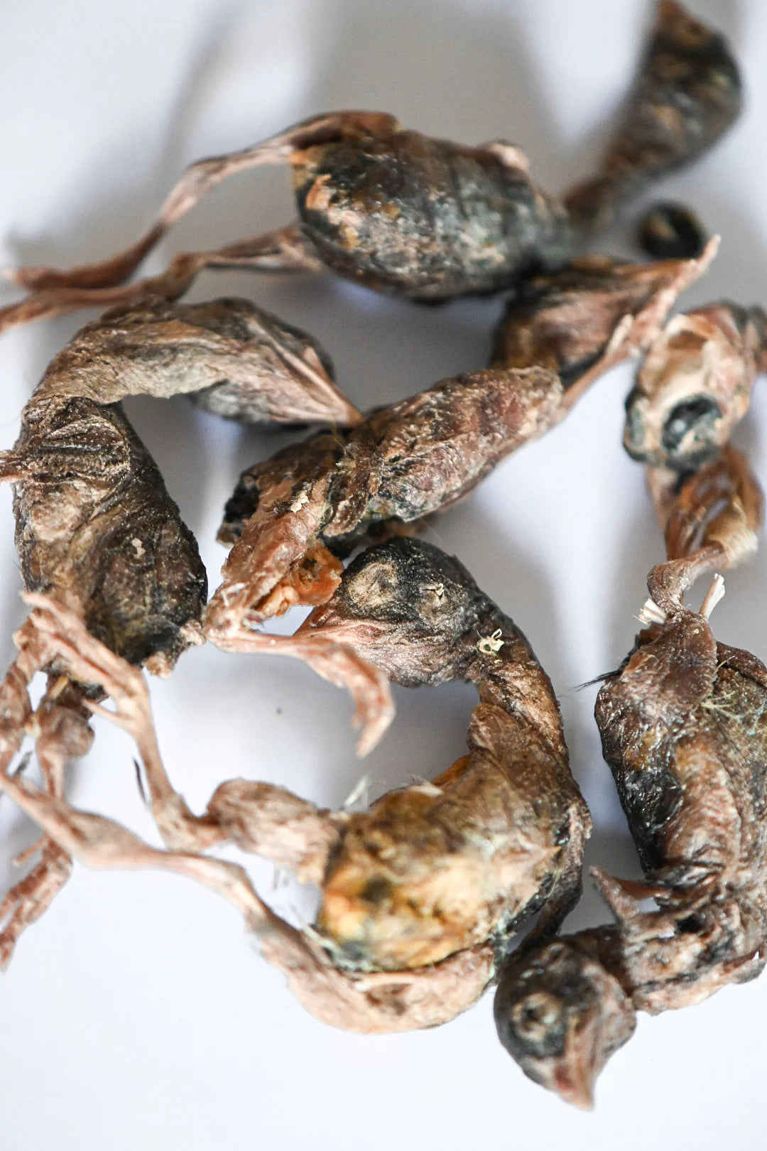 Freeze-Dried Whole Quail
