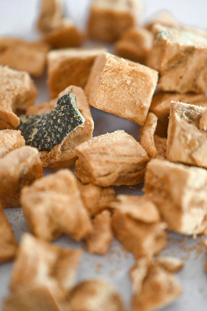 Freeze-Dried Salmon Bites