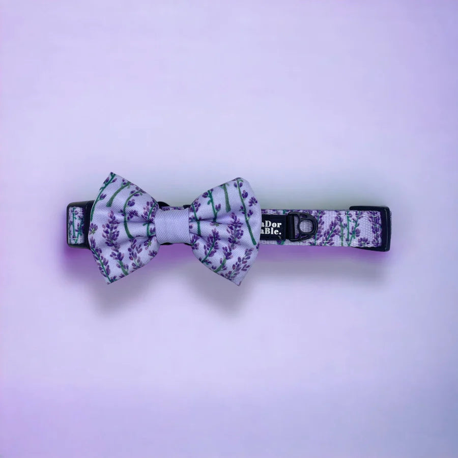 Dog Collar | Lavender Haze