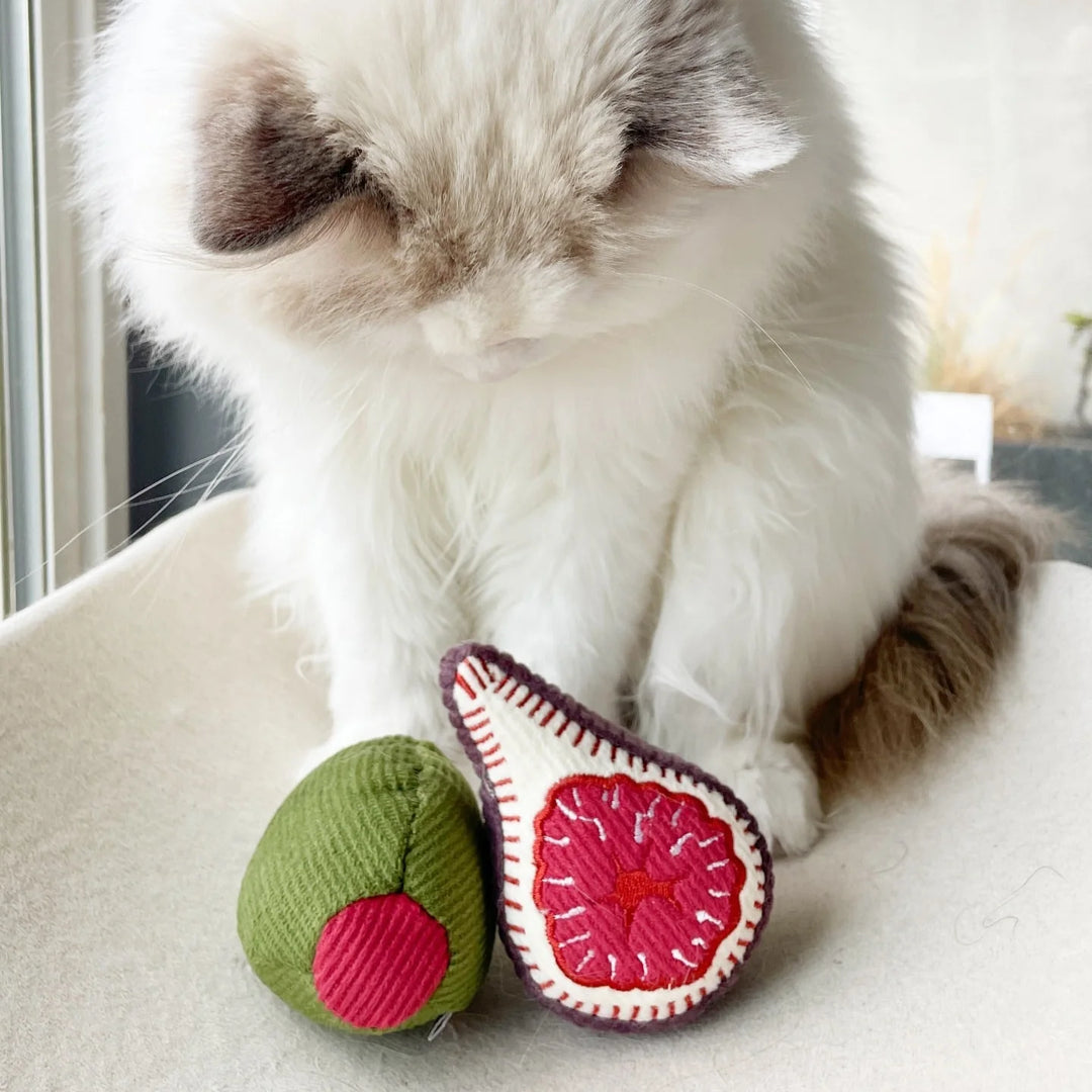 Kitty Olive & Fig