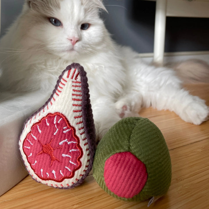 Kitty Olive & Fig