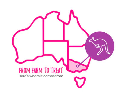 Freeze Dried Raw Kangaroo Treats