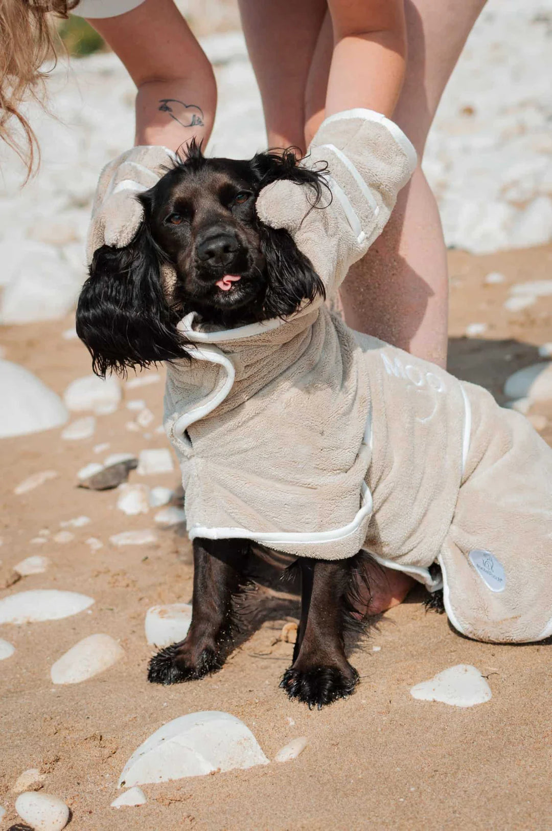 Dog Drying Gloves