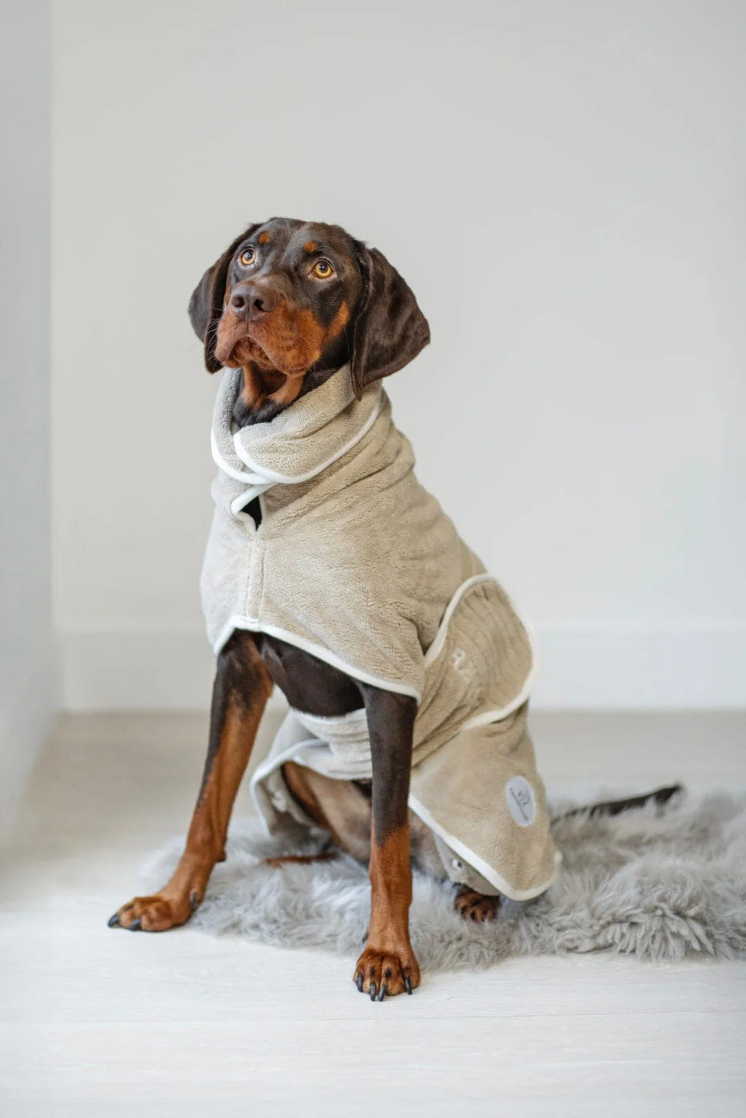 Dog Drying Coat | Latte