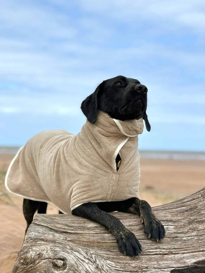 Dog Drying Coat | Latte