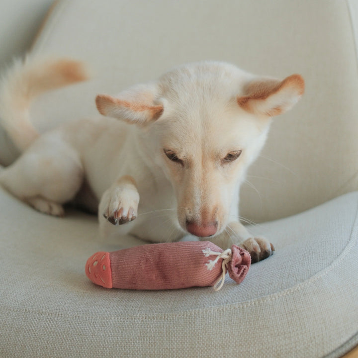 Olive & Salami