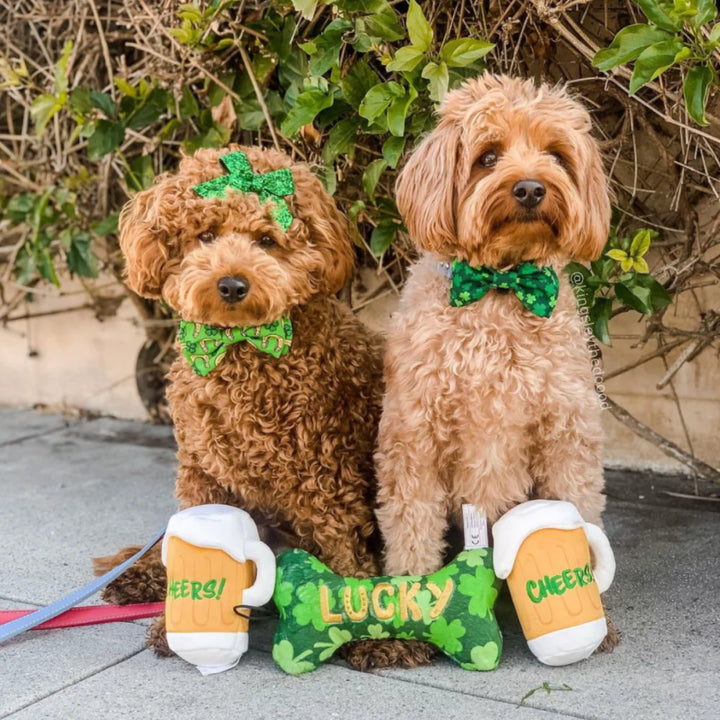 Lucky Charm Bone