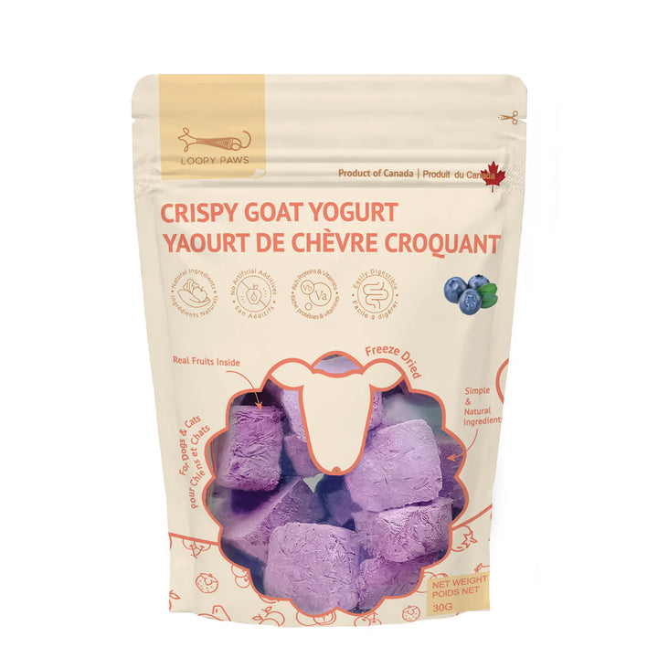 Crispy Goat Yogurt | Blueberry