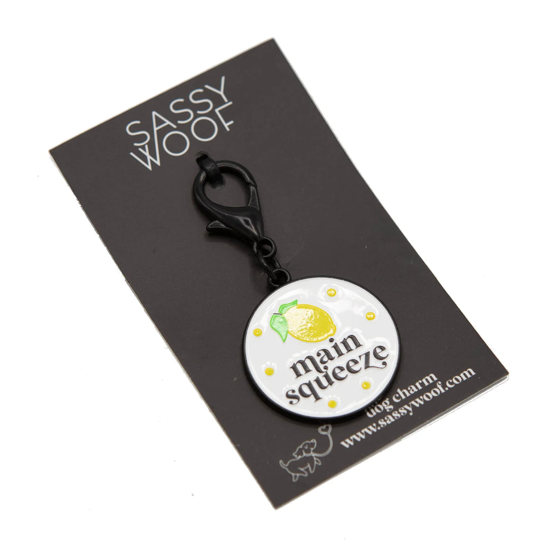 Dog Collar Tag | Main Squeeze