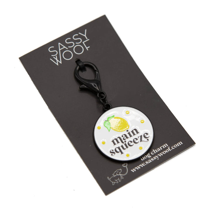Dog Collar Tag | Main Squeeze
