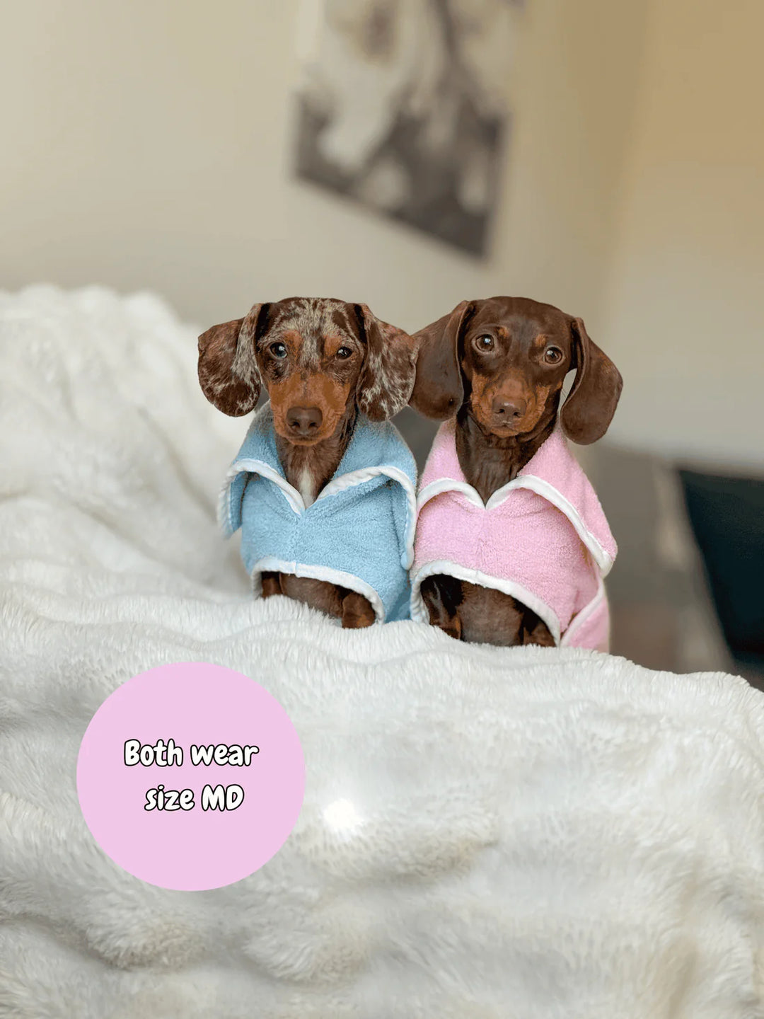 Dog Drying Coat | Candy Floss Blue