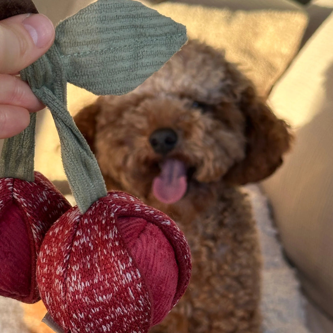 Cherry Pop