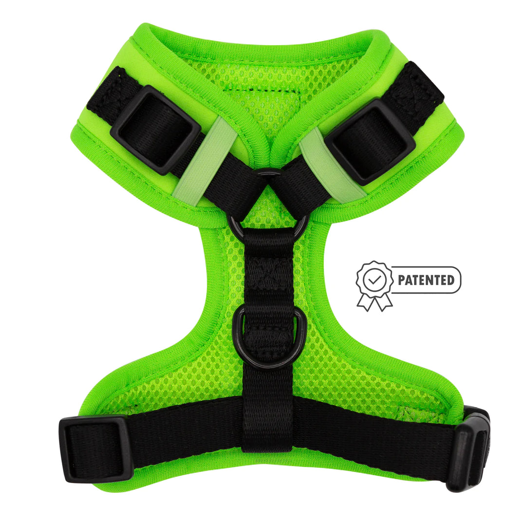 Adjustable Dog Harness | Neon Green