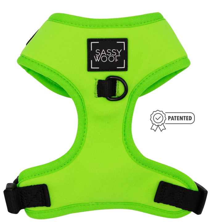 Adjustable Dog Harness | Neon Green