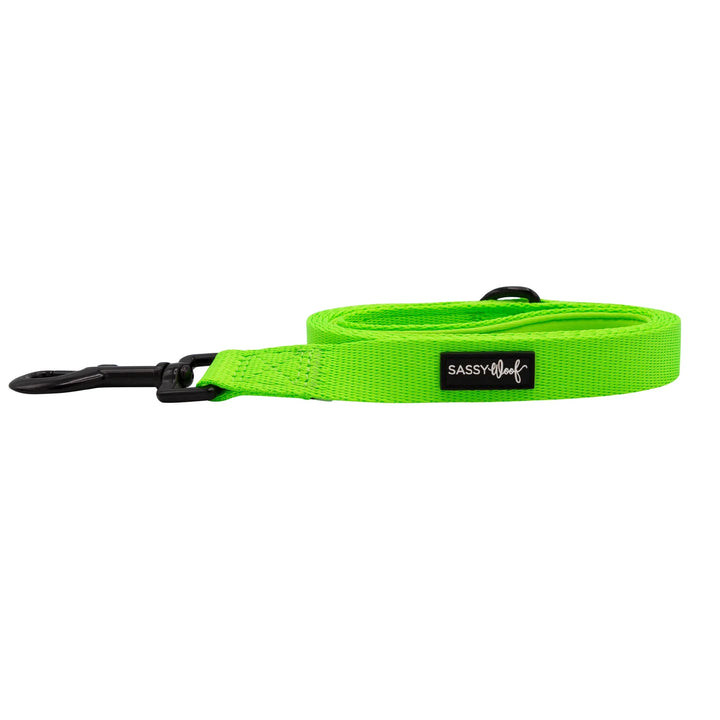 Dog Leash | Neon Green