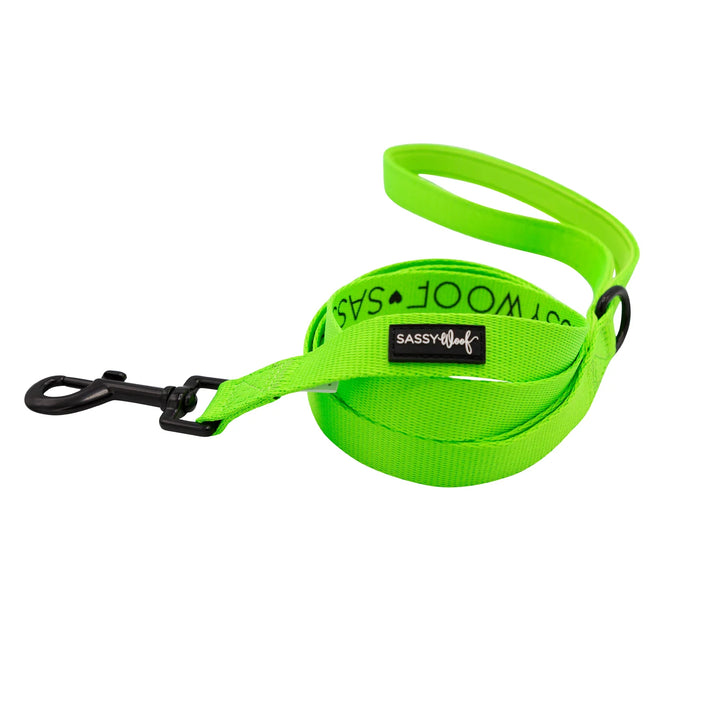 Dog Leash | Neon Green