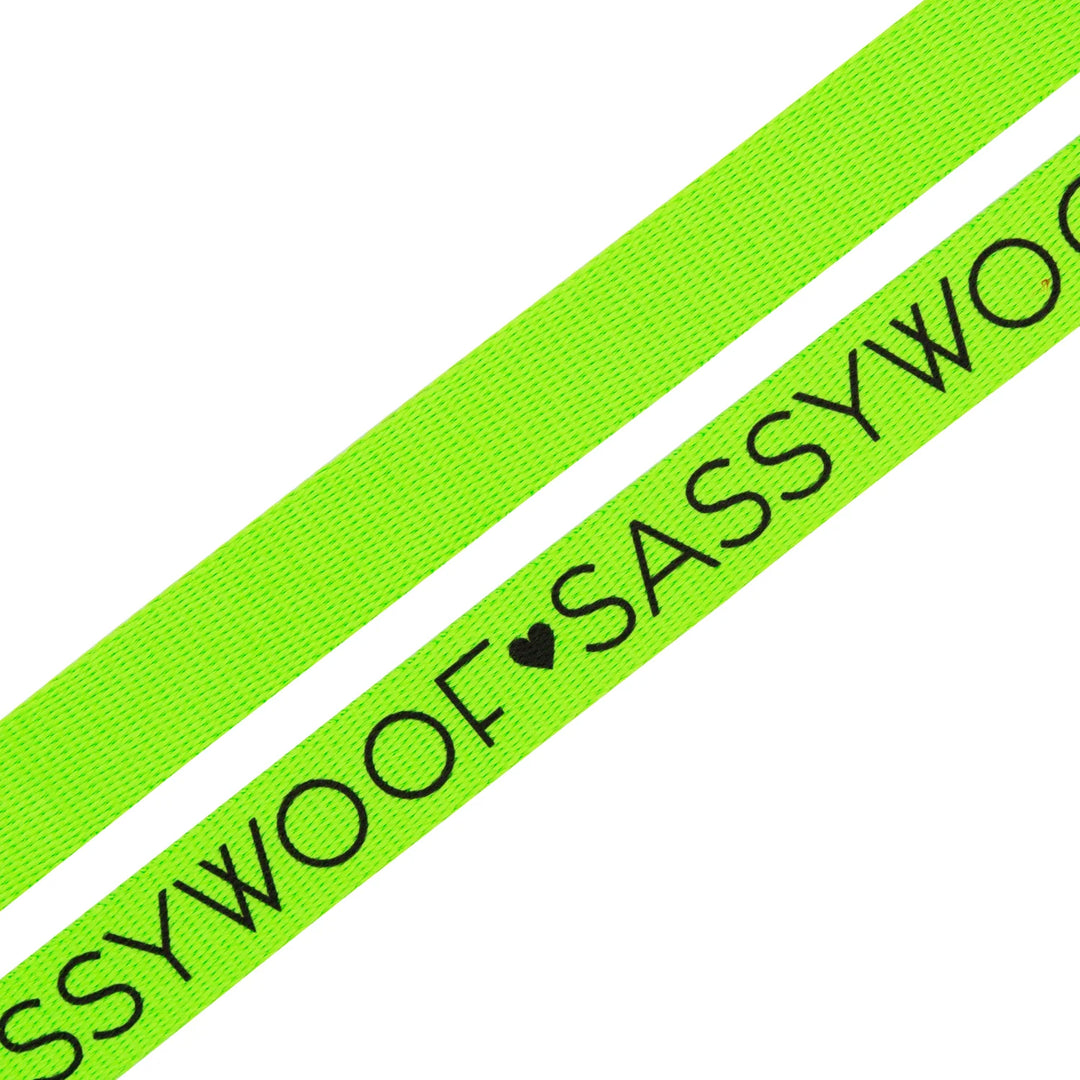 Dog Leash | Neon Green