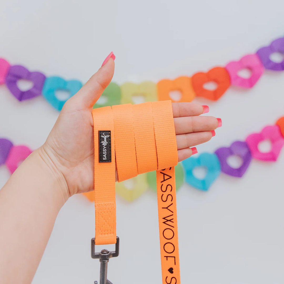 Dog Leash | Neon Orange