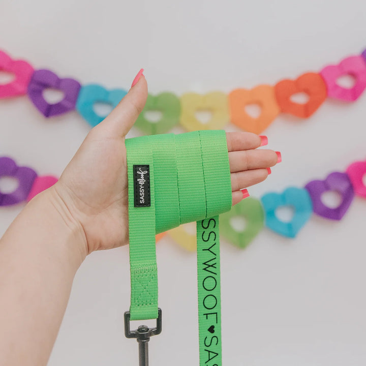 Dog Leash | Neon Green