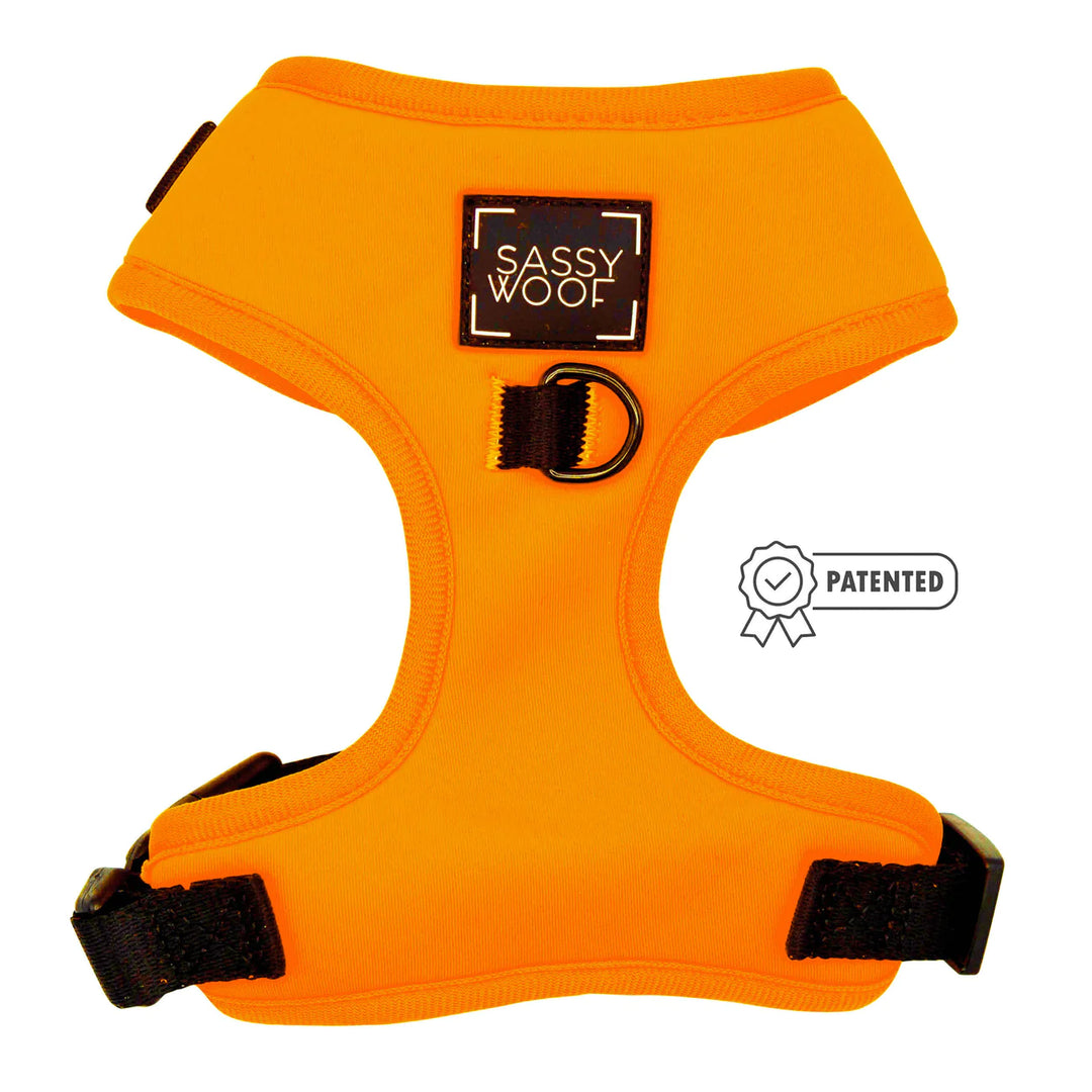 Adjustable Dog Harness | Neon Orange